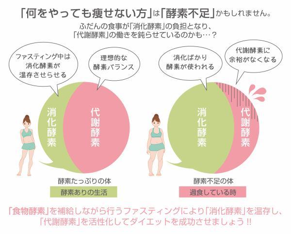 ファスティングで代謝酵素を活性化