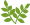 桂皮（ケイヒ）